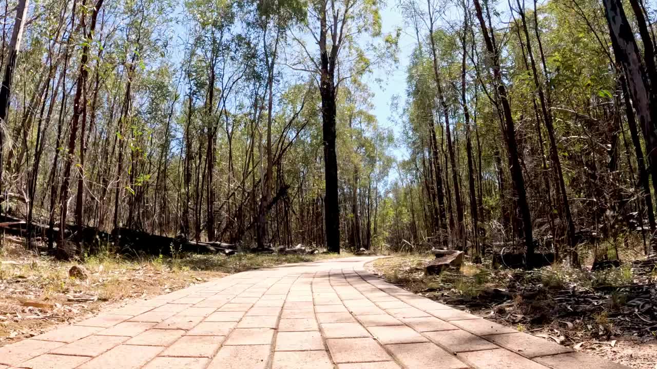 穿越树林小径的旅程视频素材