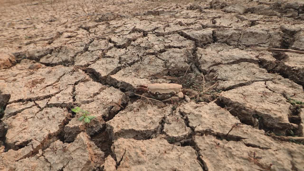 全球沸腾和生态崩溃视频下载