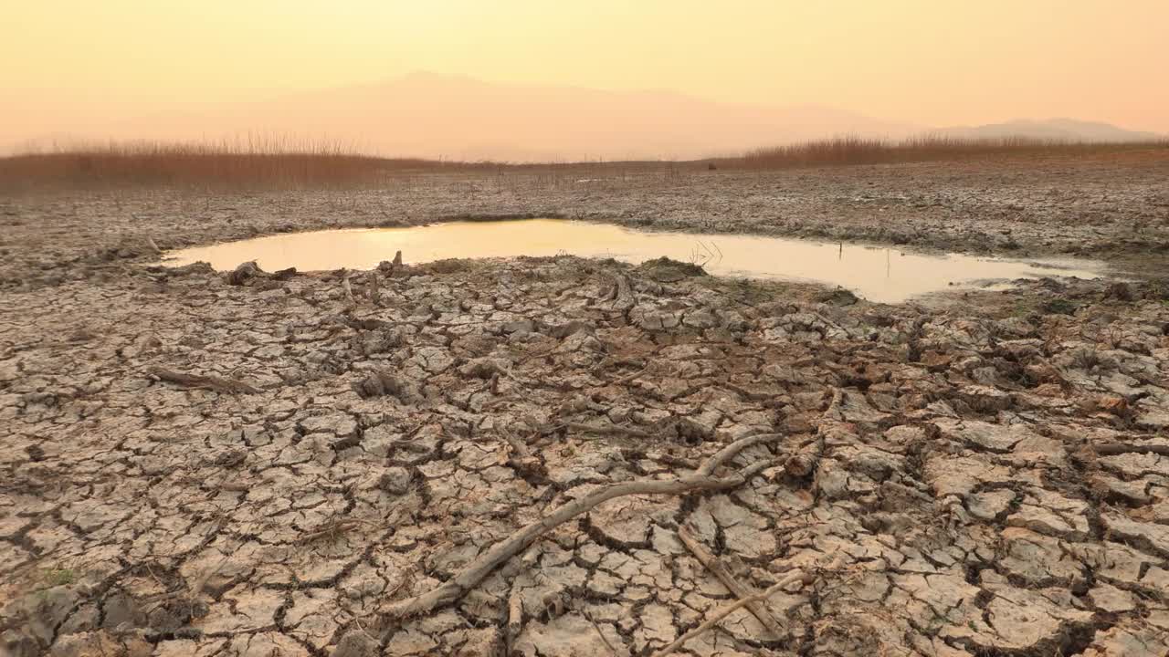 热浪河湖视频下载