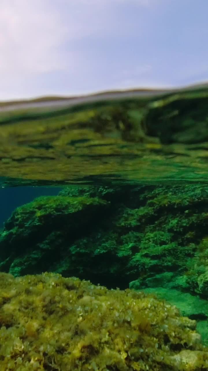 在克罗地亚亚得里亚海附近的海面上和水面下的景色。垂直视频视频素材