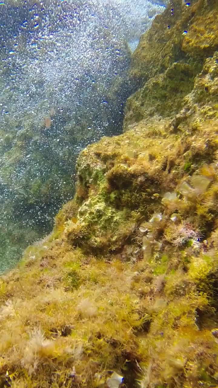 由于岩石海岸的海浪，水中出现了气泡。水下的观点。垂直视频视频素材