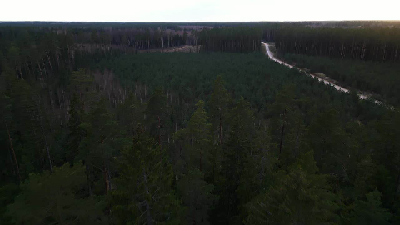 鸟瞰图，森林中有一条穿过自然景观的道路视频素材