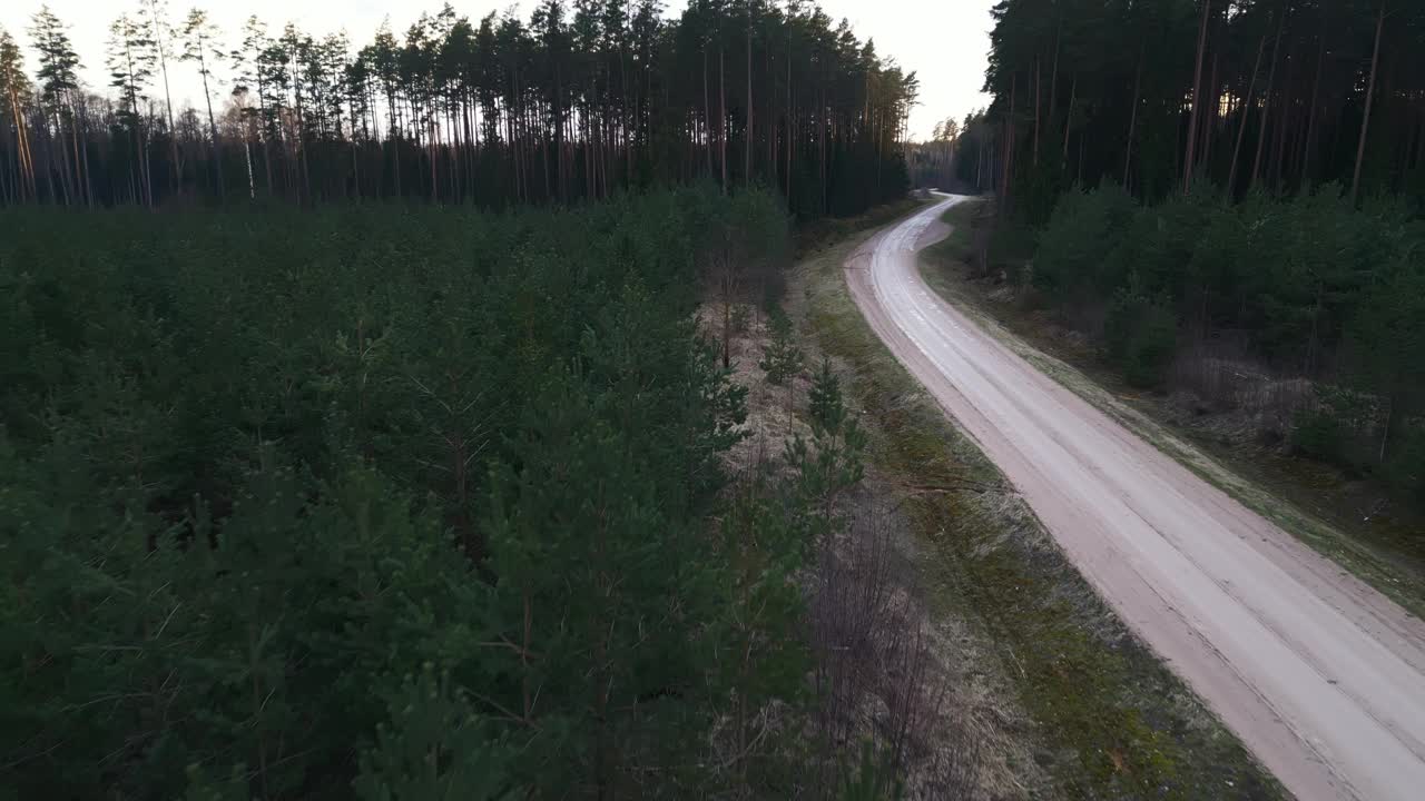 鸟瞰蜿蜒穿过茂密森林的土路视频素材