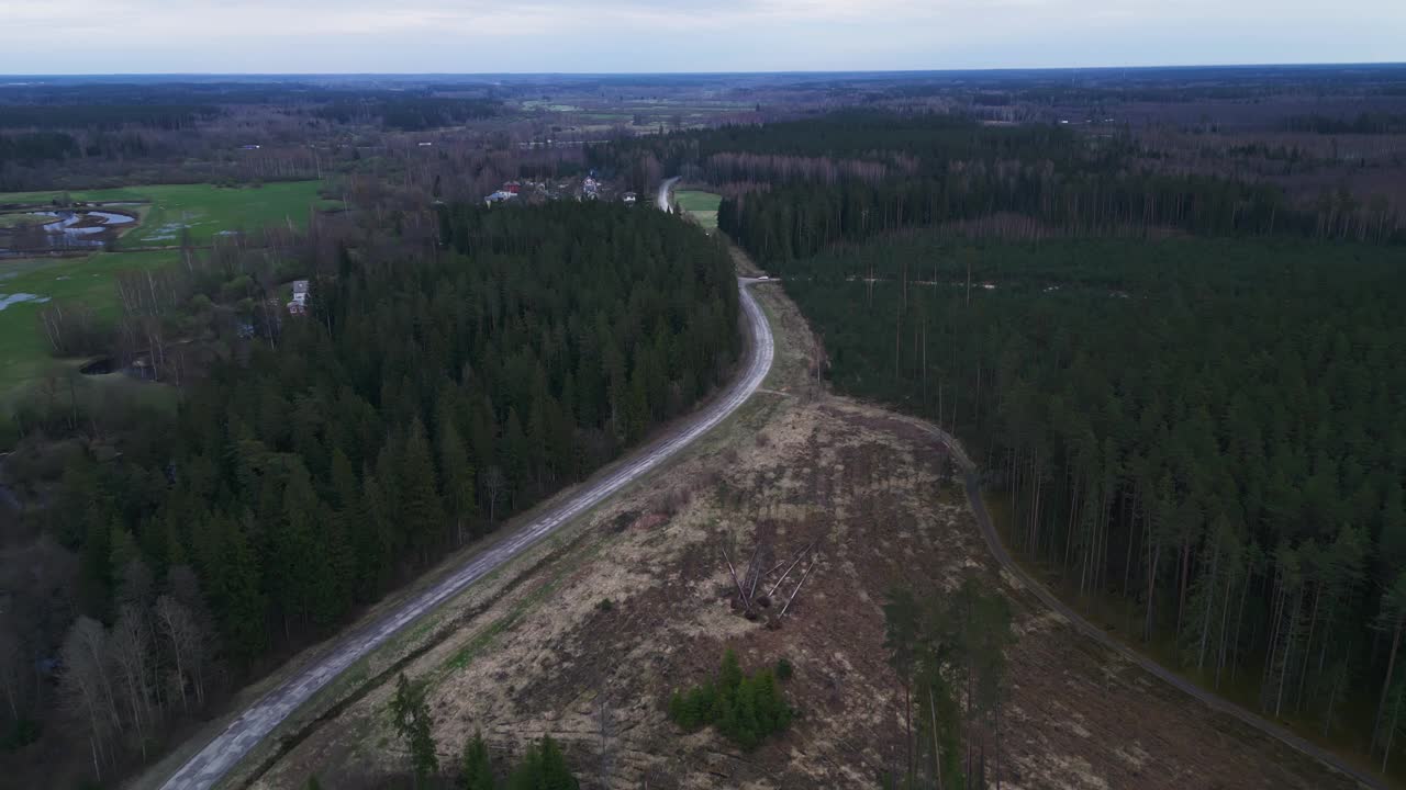 在风景优美的天空下，一条穿过茂密森林的道路视频素材