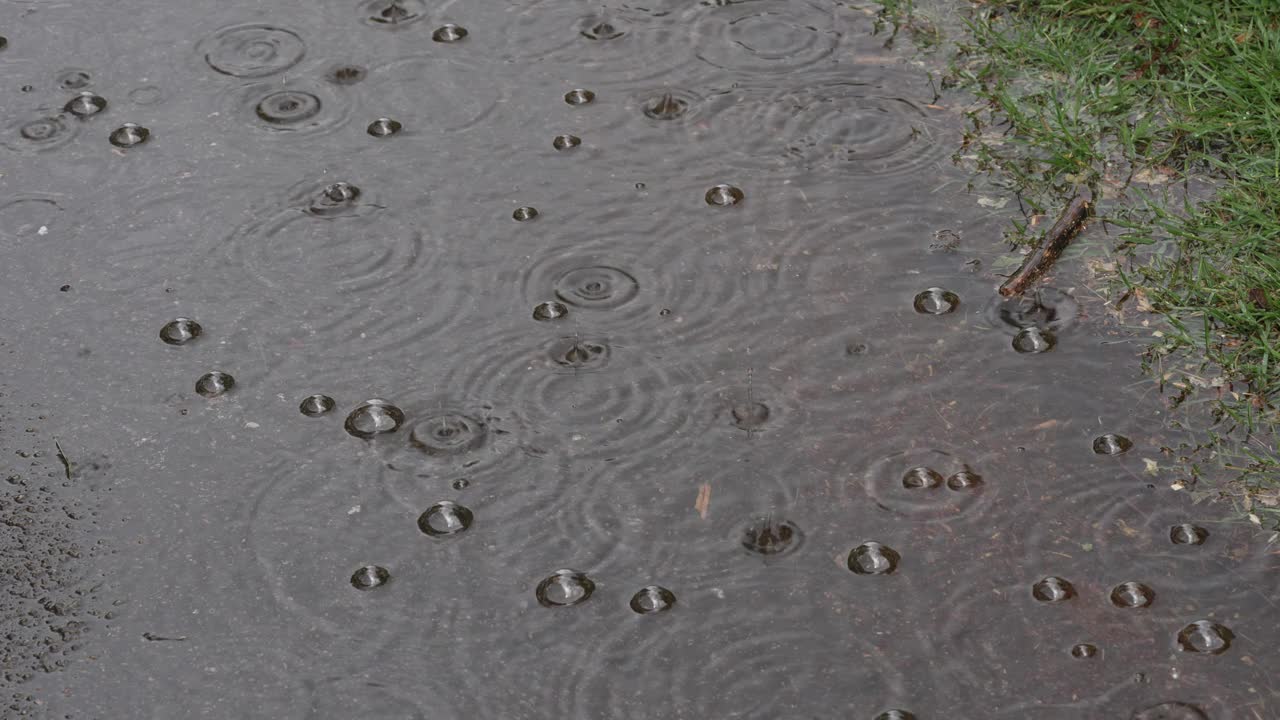 大雨落在路边的水坑里视频下载