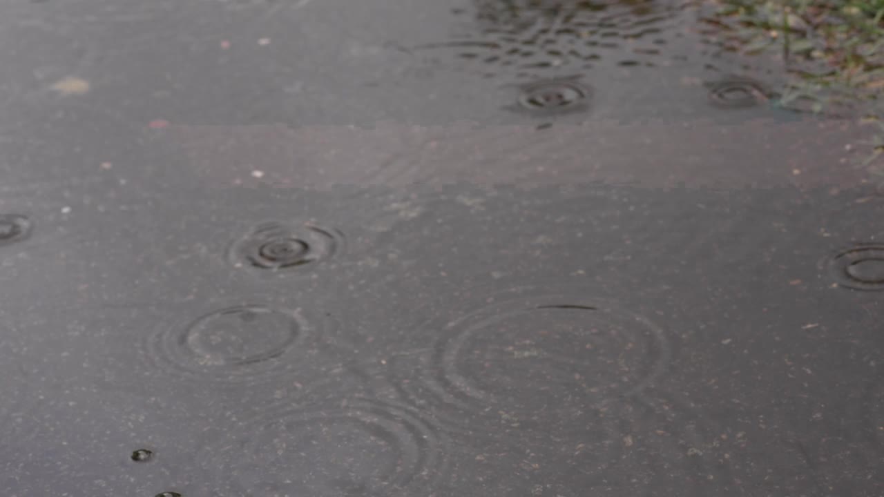 大雨落在路边的水坑里视频下载