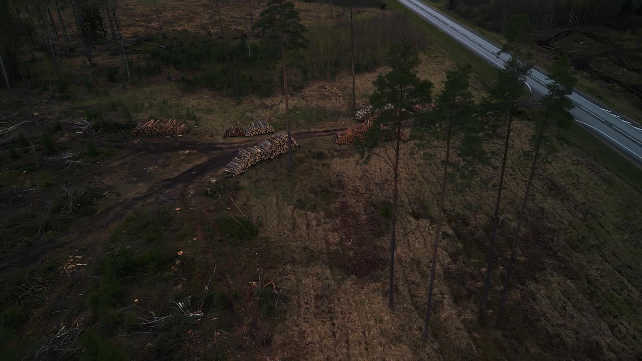 夜间鸟瞰森林与道路，树木，草地视频素材