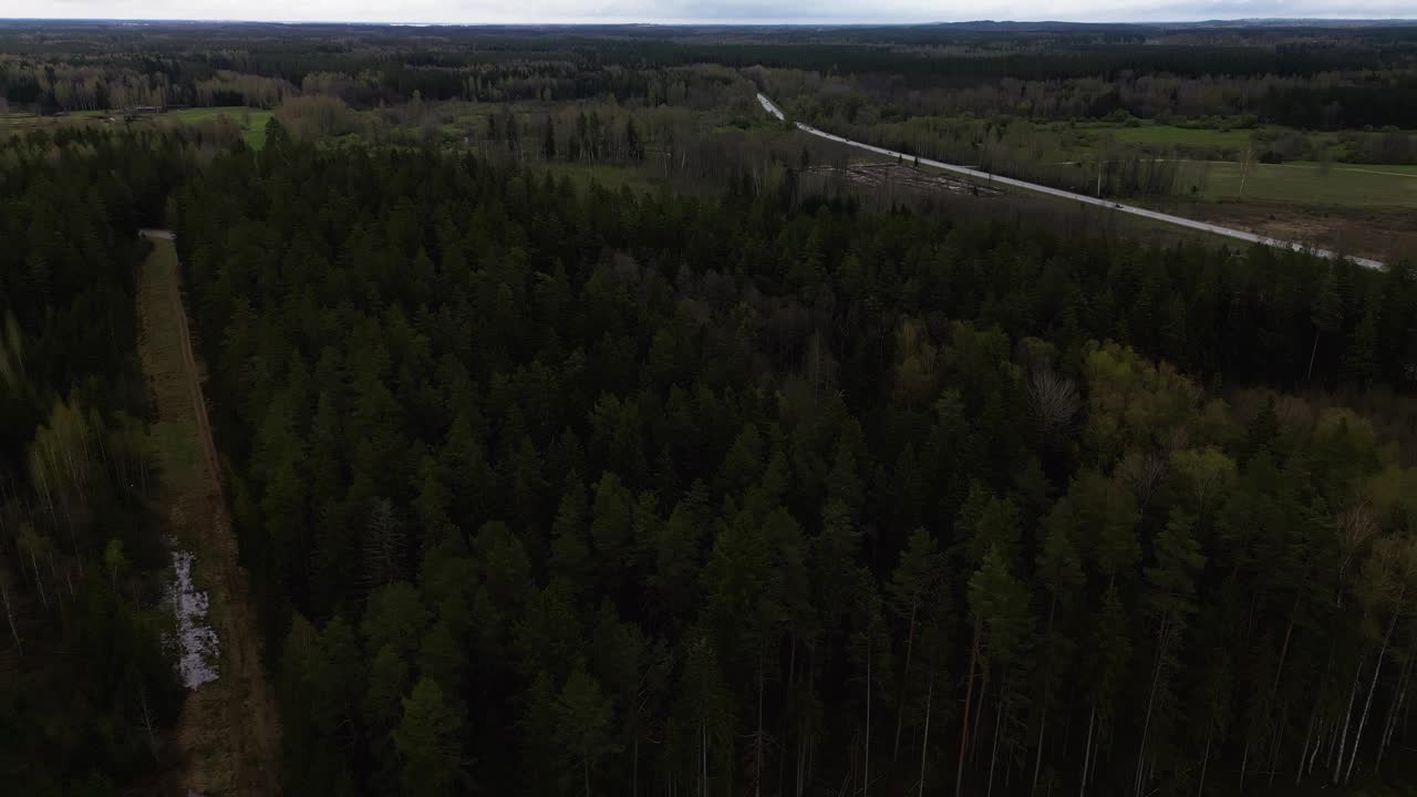 从上面看，一条穿过茂密森林的道路是一个自然景观视频素材