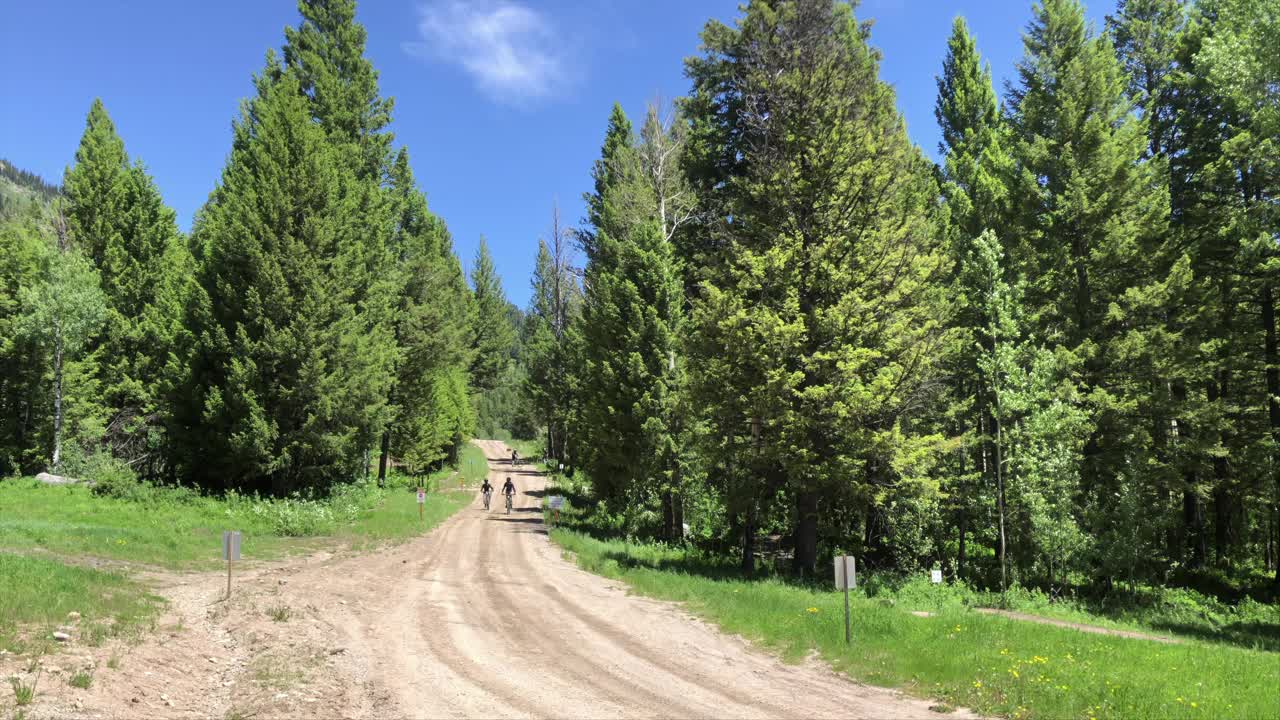 慢动作山地自行车骑在杰克逊霍尔山度假村视频素材