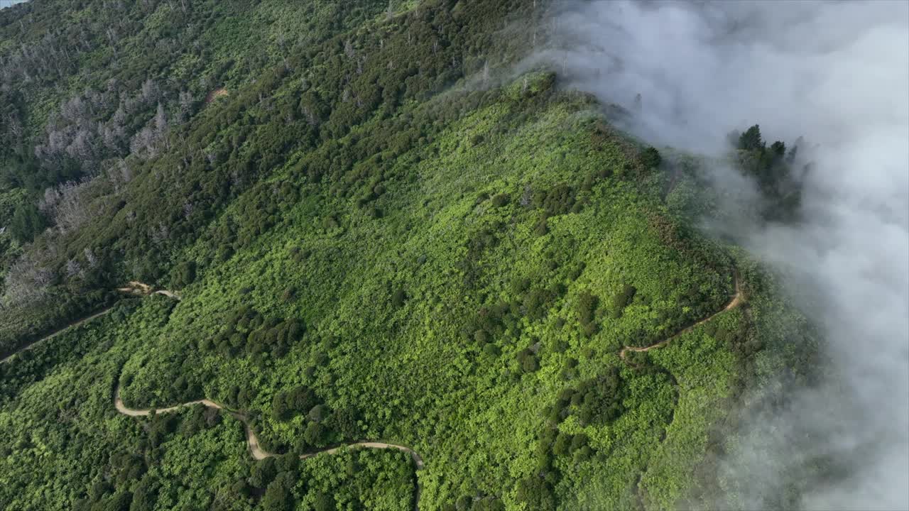 无人机从右到左掠过薄雾覆盖的灌木覆盖的山丘到海岸线定居点和海洋视频下载