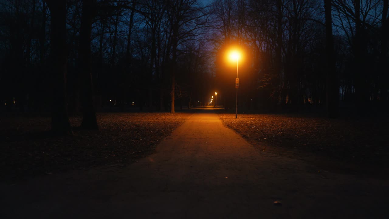 夜晚，汽车照明照亮了路边的路灯视频素材