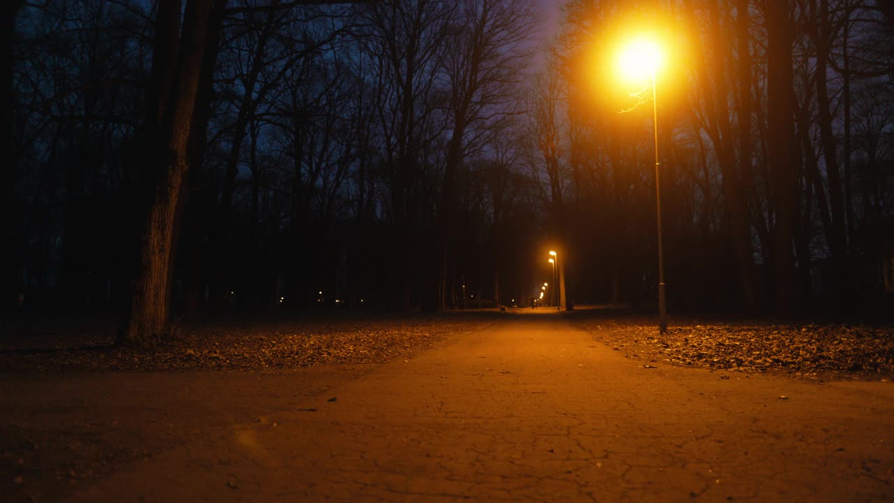 一盏路灯在夜晚照亮了黑暗的森林视频素材