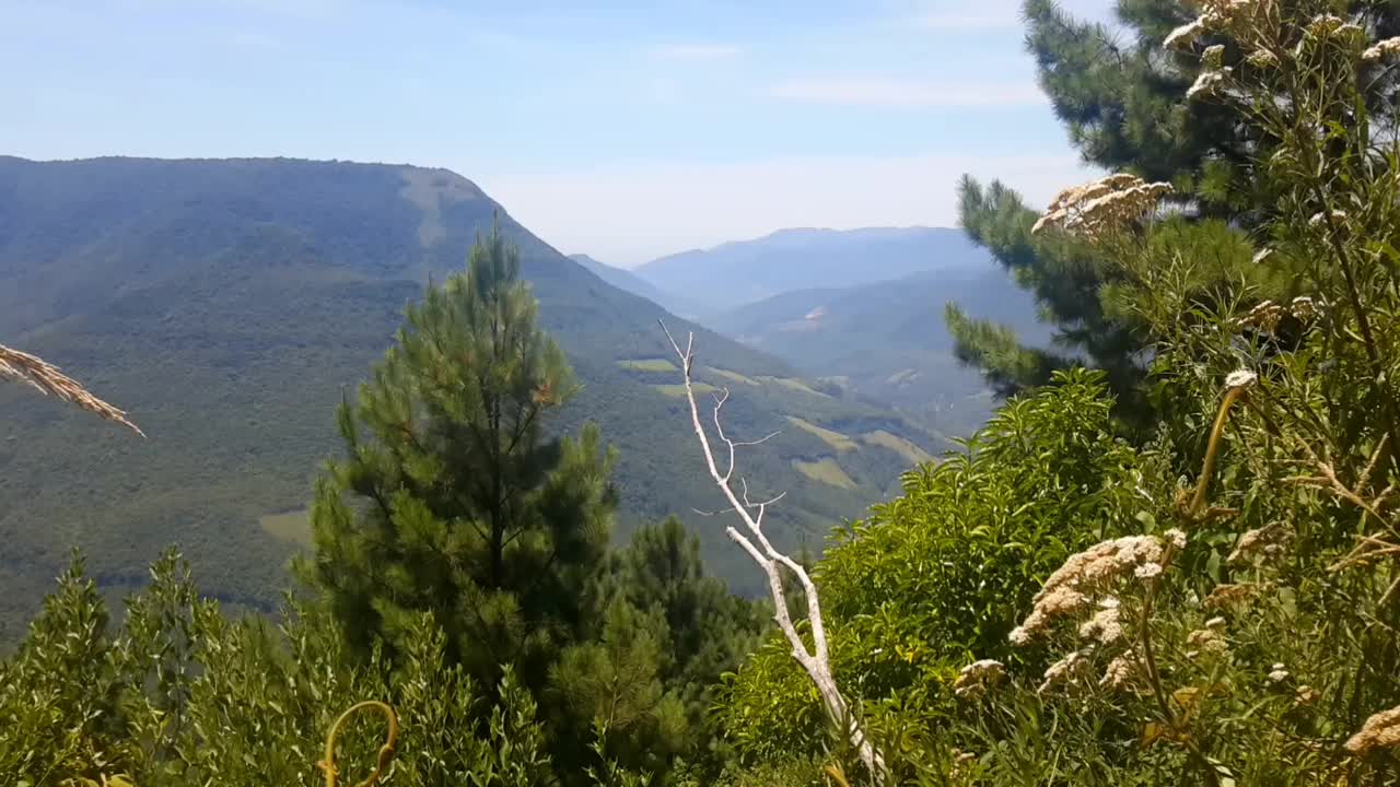 夏天美丽的山景视频下载