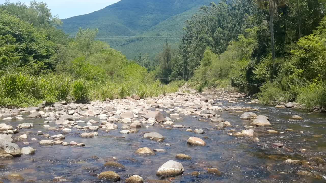 小溪平静地流过山间视频下载