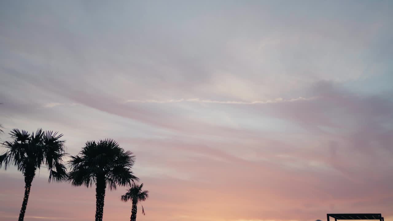 棕榈剪影在柔和的夕阳下视频素材