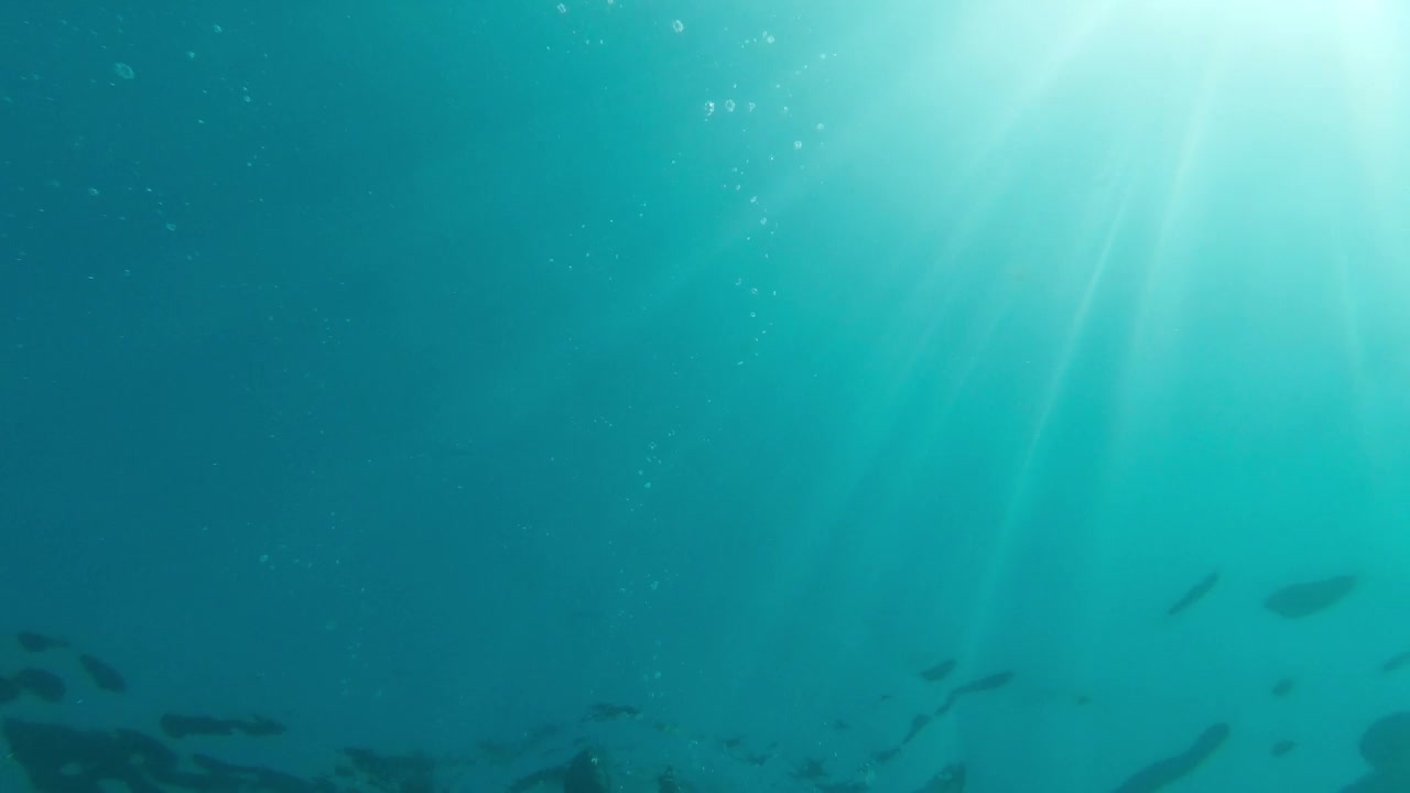 一个人在水面上游泳，然后潜入海洋深处。水下视图视频素材