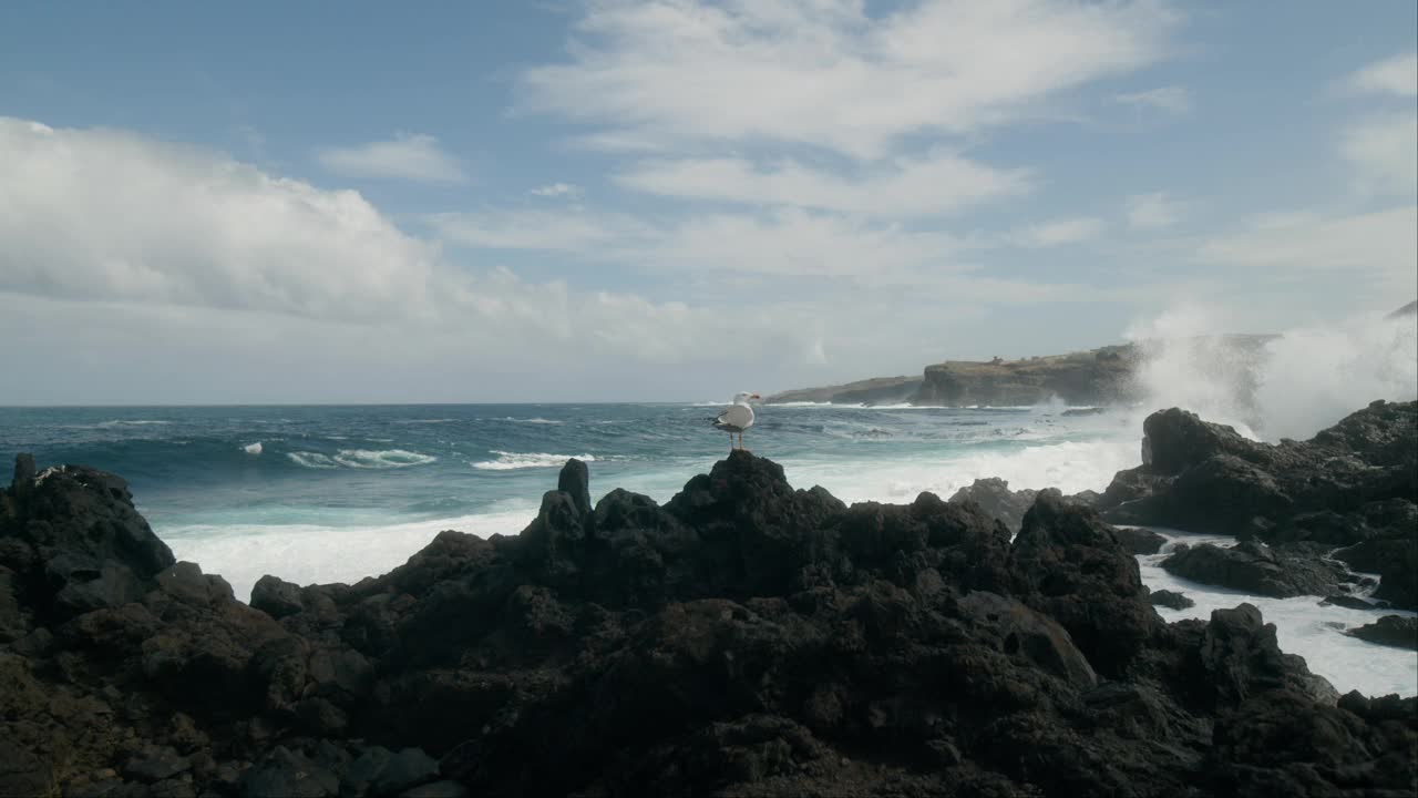 海浪冲击着岩石海滩，粗糙的海岸。Playa de las Arenas。视频素材