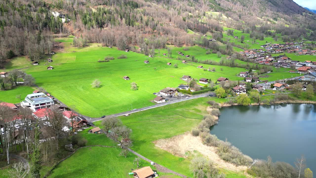 鸟瞰瑞士草地与奶牛和瑞士阿尔卑斯山在春天视频素材