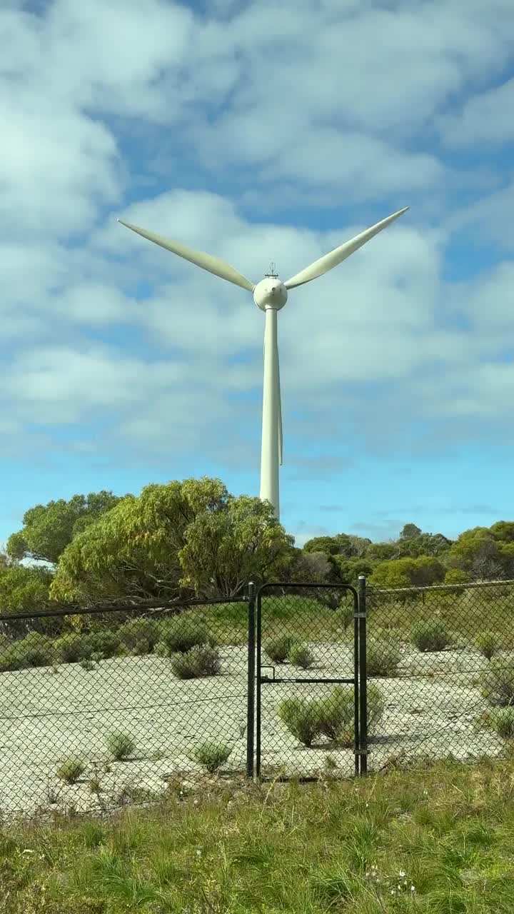 可持续能源:罗特尼斯岛的风力涡轮机视频素材