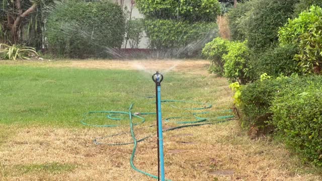 用洒水器给植物浇水视频下载