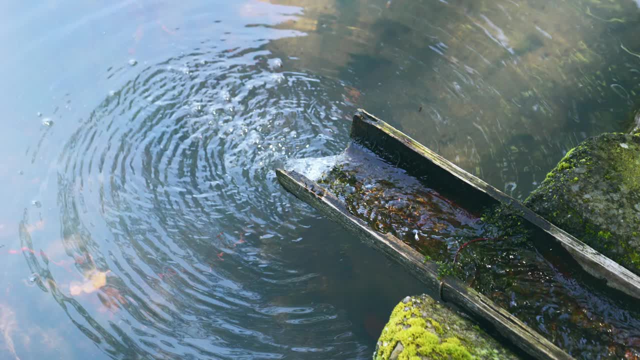 美丽的山泉落景，饮水，无人视频素材