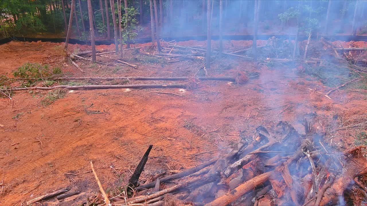 在为建房准备土地时，森林里连根拔起的树木被烧毁视频素材