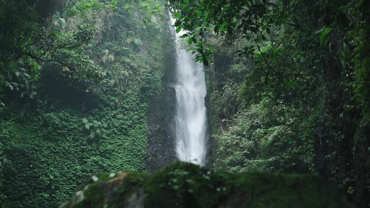 瀑布隐藏在热带雨林丛林中视频素材