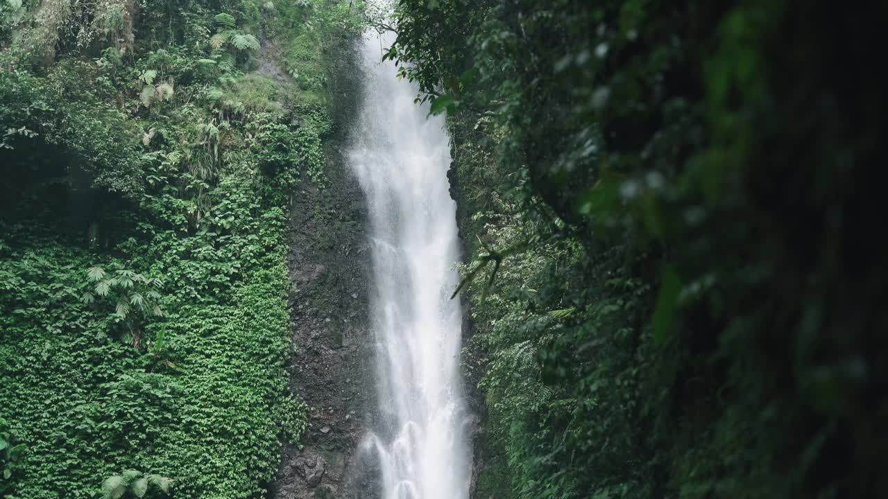 美丽的瀑布隐藏在热带雨林丛林的自然背景视频素材