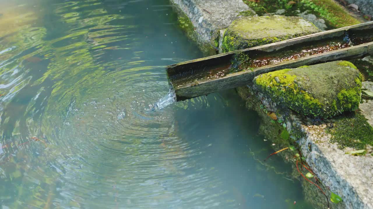 美丽的山泉落景，饮水，无人视频素材