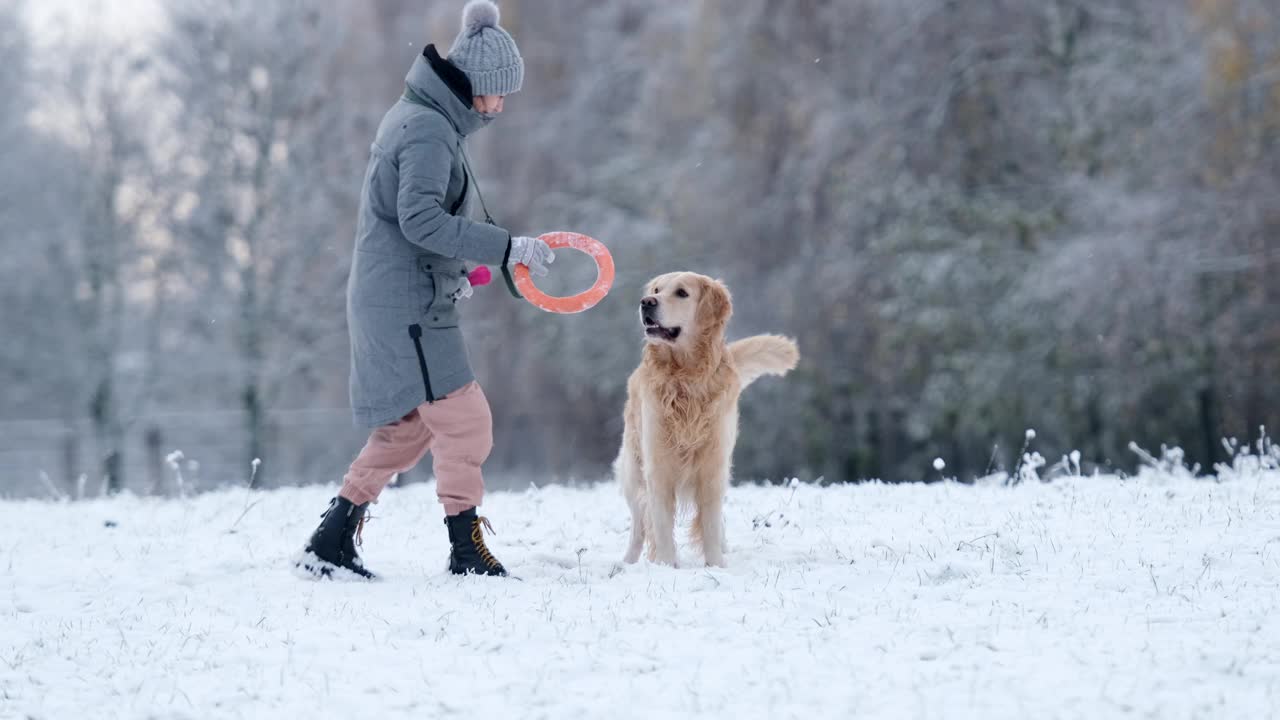 女孩在冬天和金毛猎犬玩耍视频素材