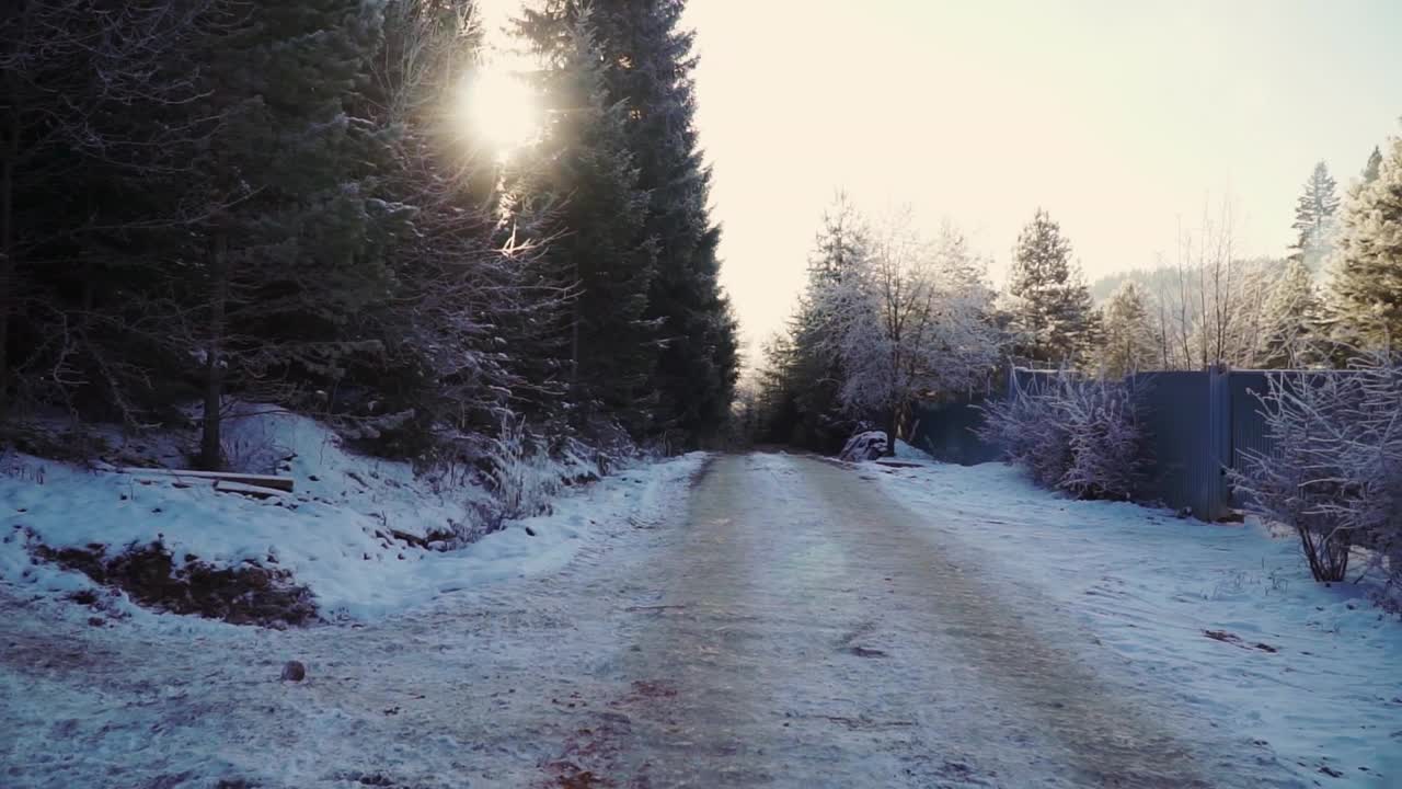 冬日的乡村景色，清晨的篱笆和白雪覆盖的冷杉树。夹。农村的寒假。视频素材