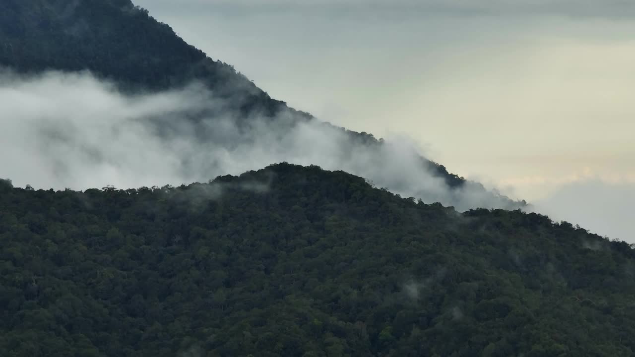 有山脉和丛林的热带景观。马来西亚婆罗洲,。视频素材