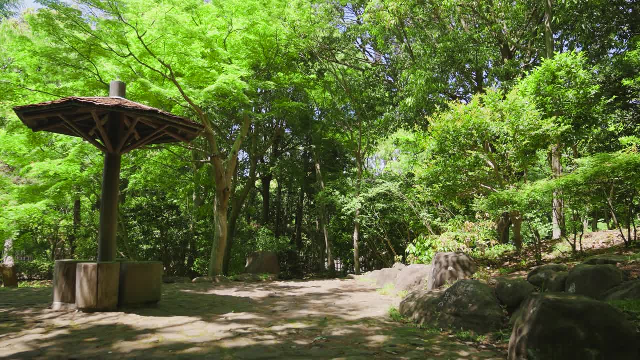 日本花园里的鲜绿的枫树在微风中摇曳，阳光透过树木照射进来，很美。
平移镜头视频素材