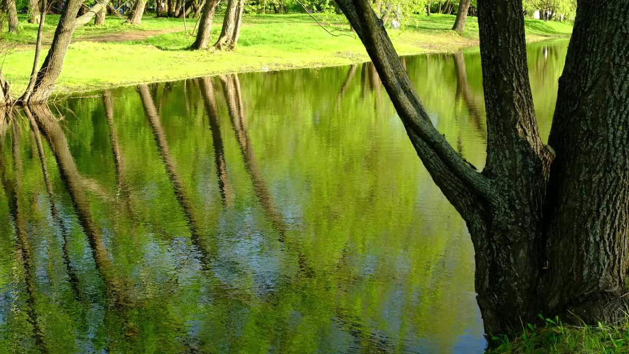 水波荡漾，公园春光明媚，倒影倒影视频素材