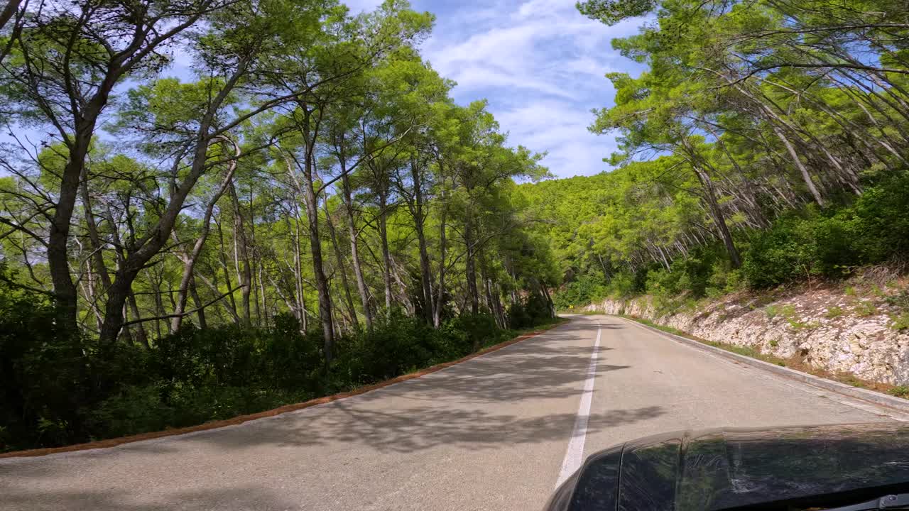 POV, FPV:沿着蜿蜒的柏油路行驶，穿过茂密的松林视频素材