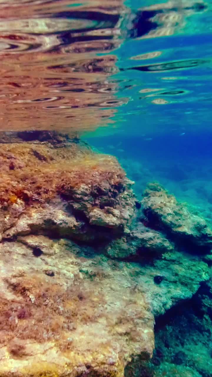 克罗地亚岩石海岸附近的水下景观。垂直视频视频素材