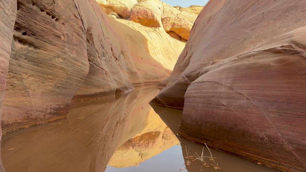 火谷州立公园粉红峡谷槽洪水的低角度视频素材