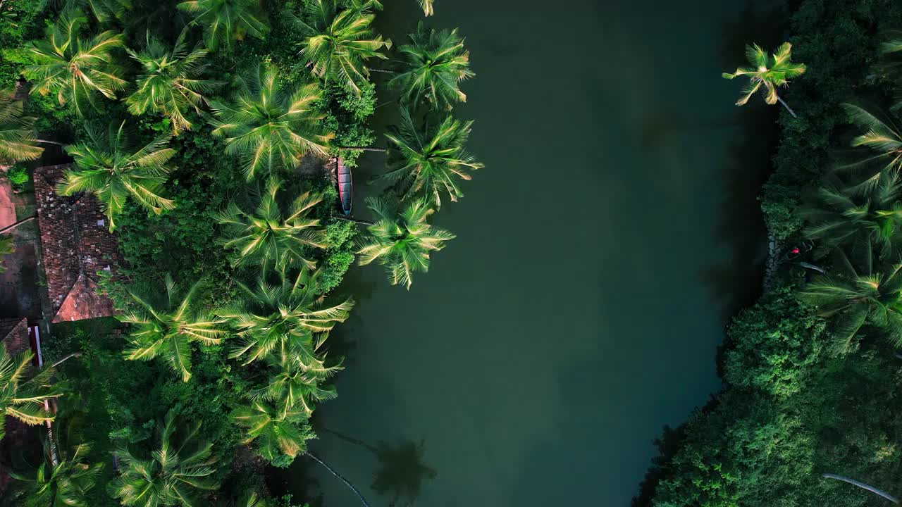 航拍的椰子树热带湖泊视频下载