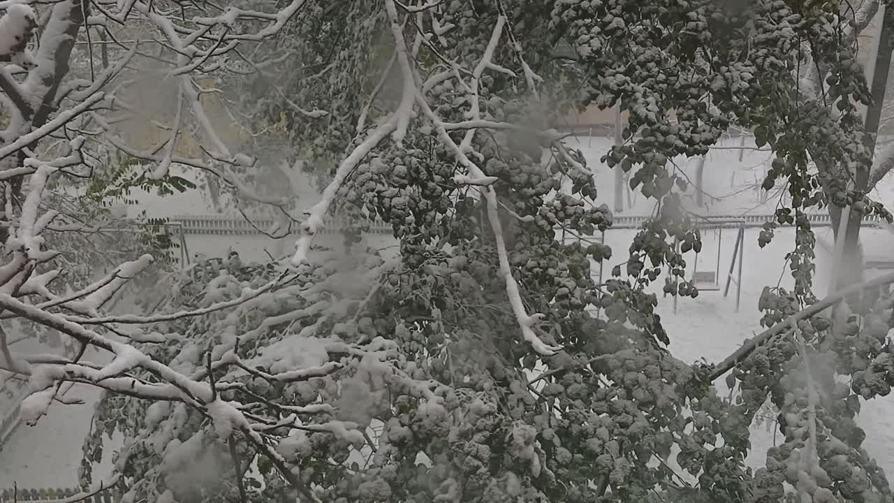 透过窗户看到一场强暴风雪视频下载