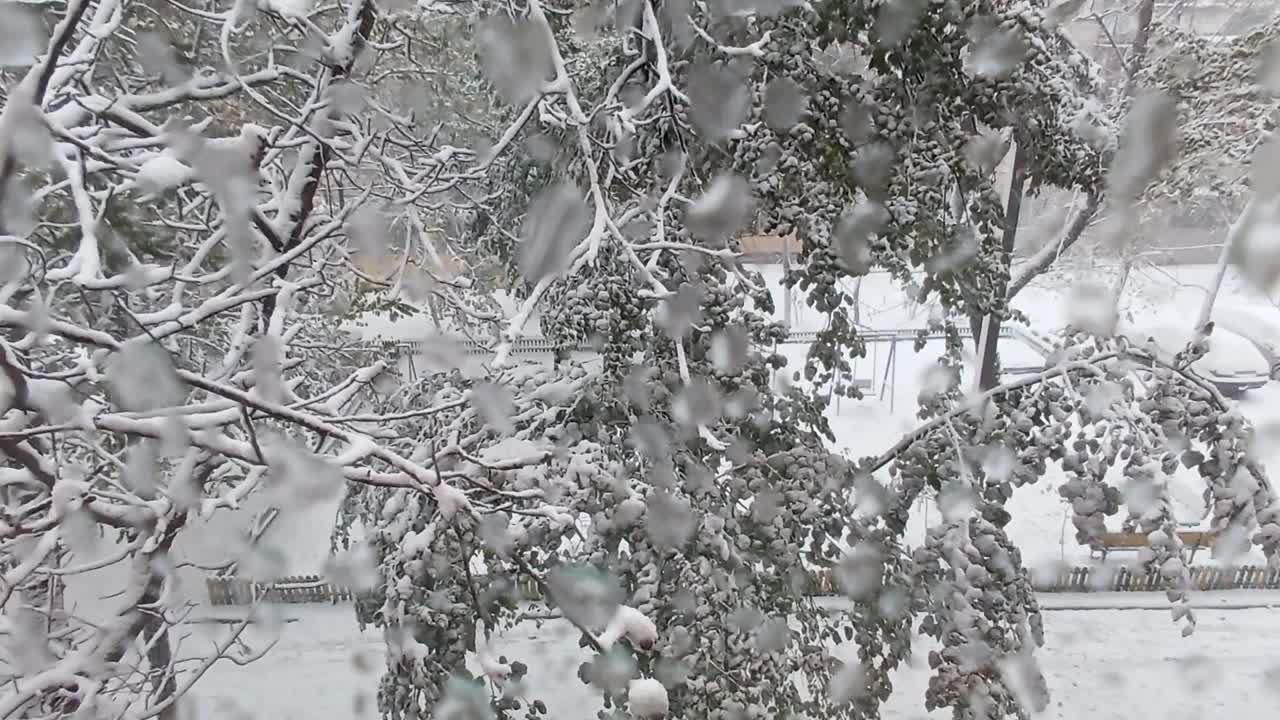 透过窗户看到一场强暴风雪视频下载