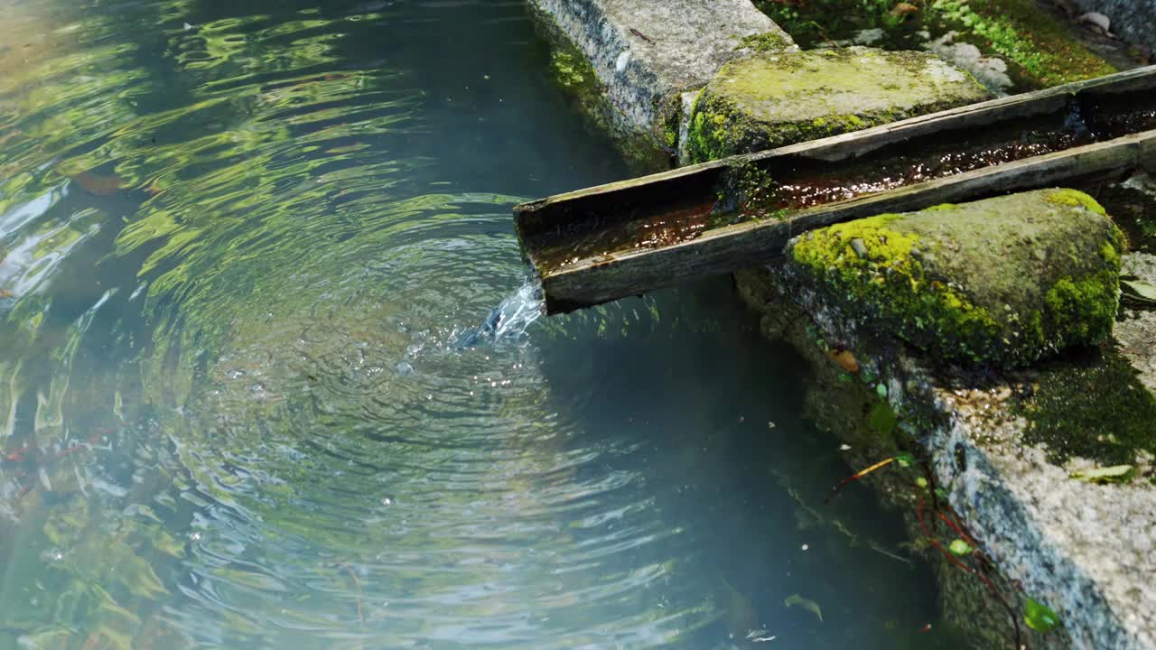 美丽的山泉落景，饮水，无人视频素材