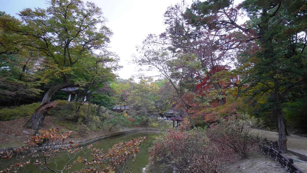 首尔昌德宫秘密花园的宁静景色，展示了传统的韩国建筑和一个宁静的池塘，周围是郁郁葱葱的树木和充满活力的秋叶。视频下载