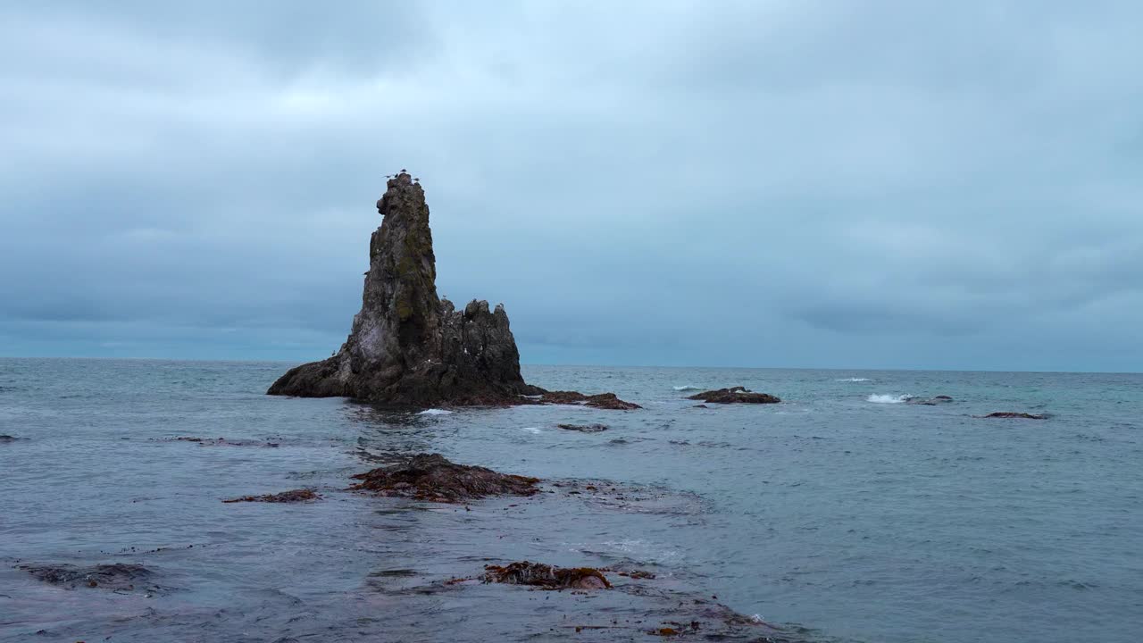 阴天里，大海里的岩石和海鸥在一起。夹。美丽的风景，海中的岩石和飞翔的海鸥。岛上的岩石和海鸥在背景多云的天空视频素材