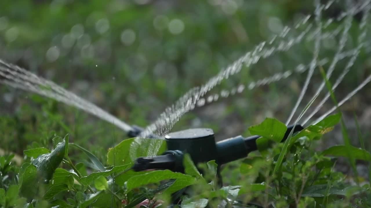 夏日夕阳下，后院花园洒水车给植物浇水的慢镜头视频素材