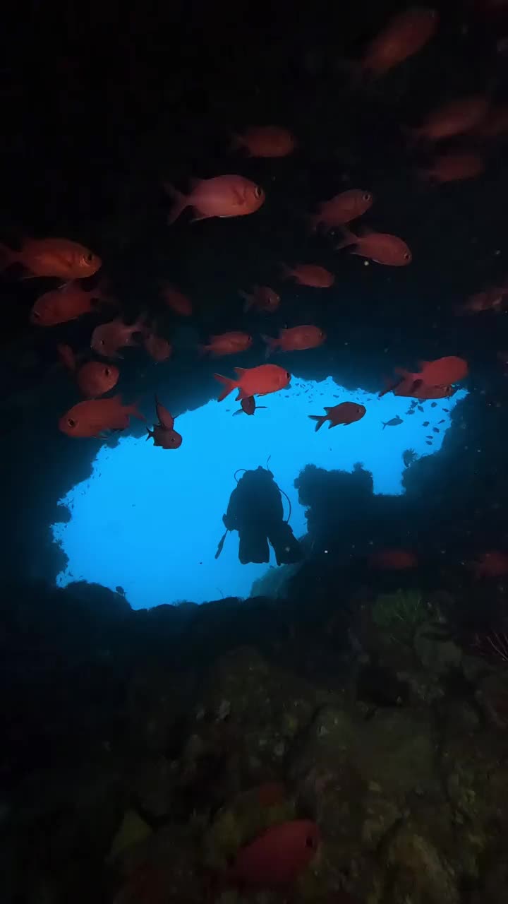 在巴厘岛的Gili Tepekong，踏上穿越大眼士兵鱼王国的旅程，在水下洞穴深处滑行视频下载