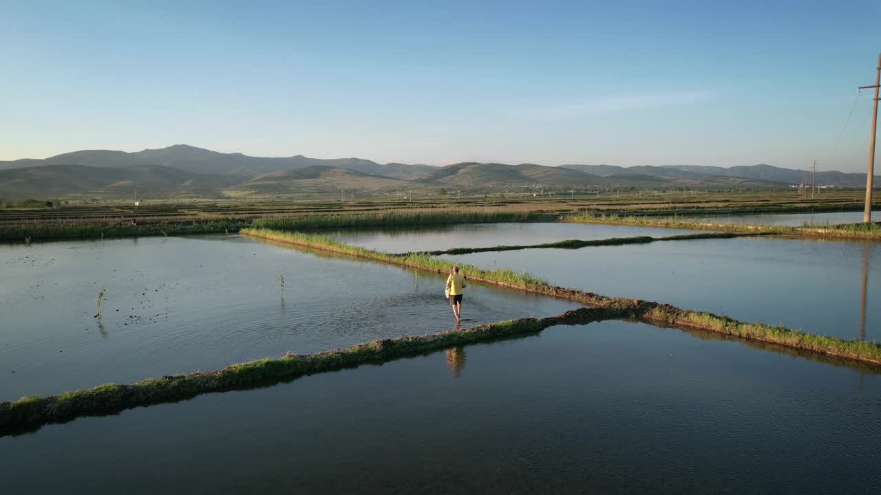 农民在稻田里撒种的电影日落镜头，用手撒种，慢动作视频素材