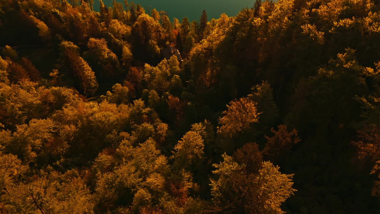 空中无人机拍摄的郁郁葱葱的绿色森林和小岛在湖流血对山日落期间视频素材