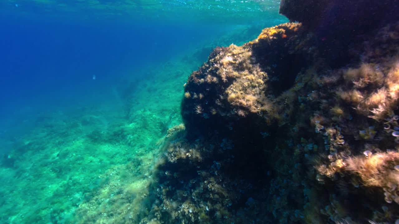 在亚得里亚海的水下在一个阳光明媚的夏天靠近克罗地亚岛岩石海岸视频素材