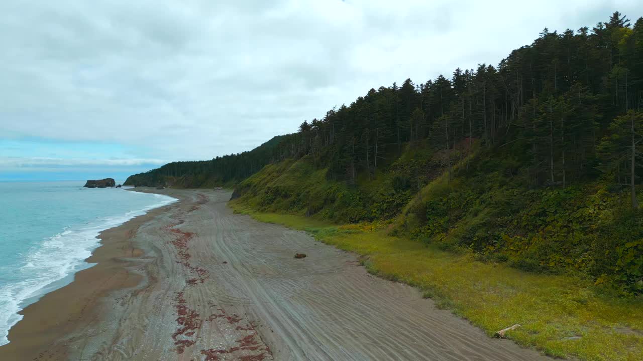 俯瞰美丽的海岸和茂密的森林。夹。海岸线在浓密的绿色森林的顶部到地平线。岛的海岸有茂密的绿色森林和山脉视频素材