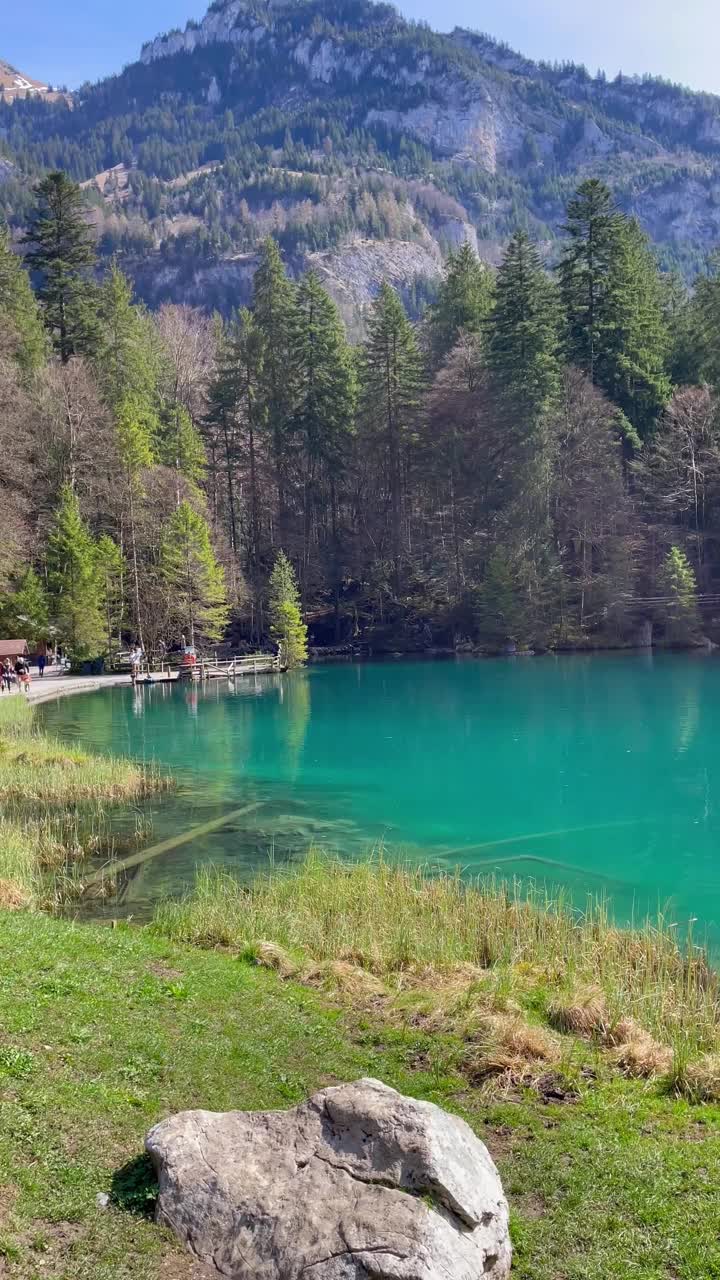 Blausee湖清澈的水景。视频素材